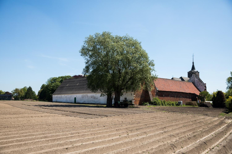 Others 4, Chez Spoons B&B, Brabant Wallon