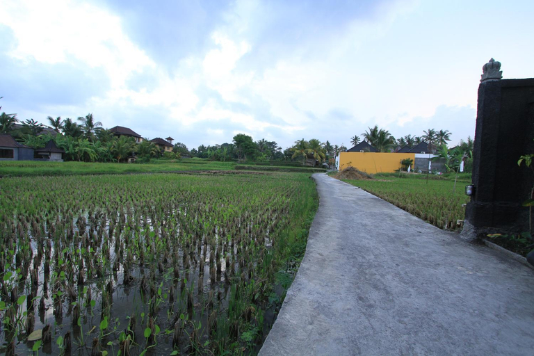 Others 4, Pondok Buda Merta, Gianyar