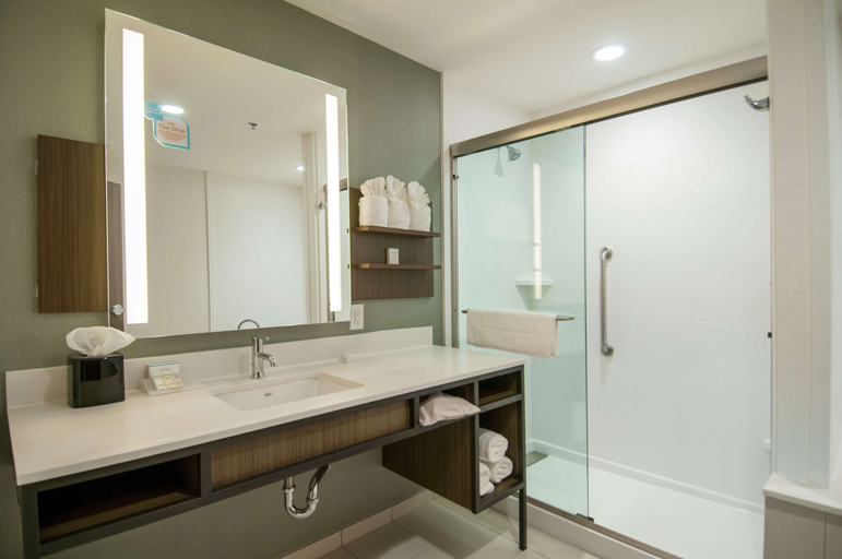 Bathroom 4, Hilton Garden Inn Jackson/Clinton, Hinds