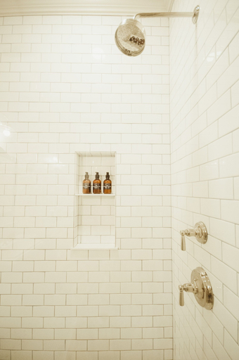 Bathroom 3, Muskegon River Inn, Newaygo