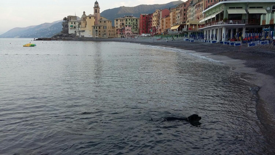Infinity Mare/Monti, Genova