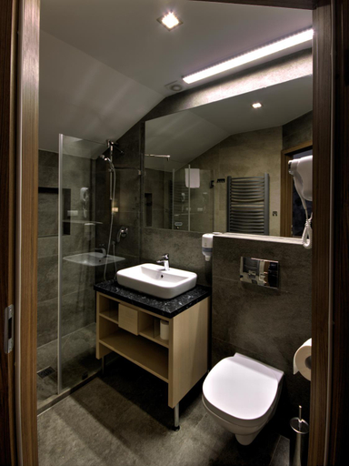 Bathroom 5, Alpengasthof Tanzstatt, Murau