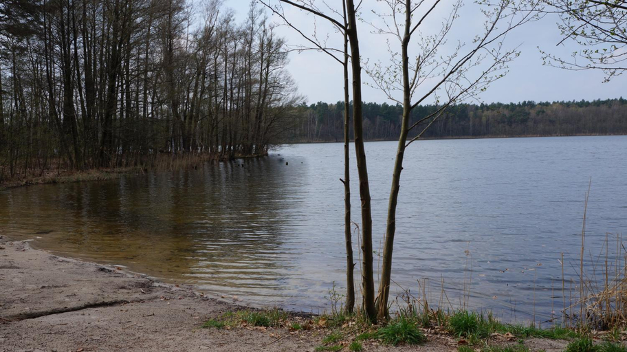 Others 5, "Markische Traube" idyllisches Gastehaus fur Selbstversorger, Teltow-Fläming