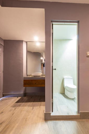 Bathroom 4, Hotel Sonora, Mexico City