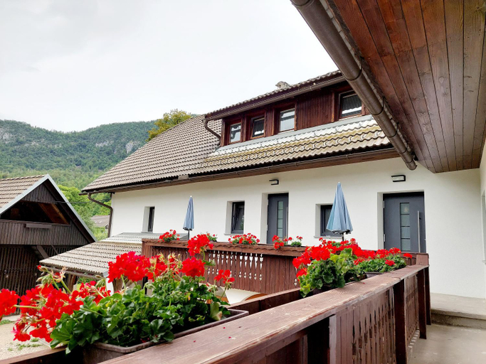 Others 4, Apartments Susnik, Bohinj