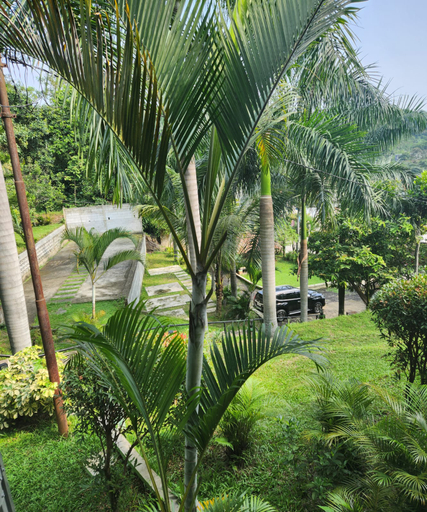 Others 5, Villa Kebun Palem Agnes, Bogor
