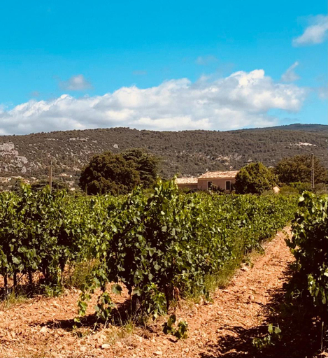 Others 5, Le Vieux Portail, Vaucluse