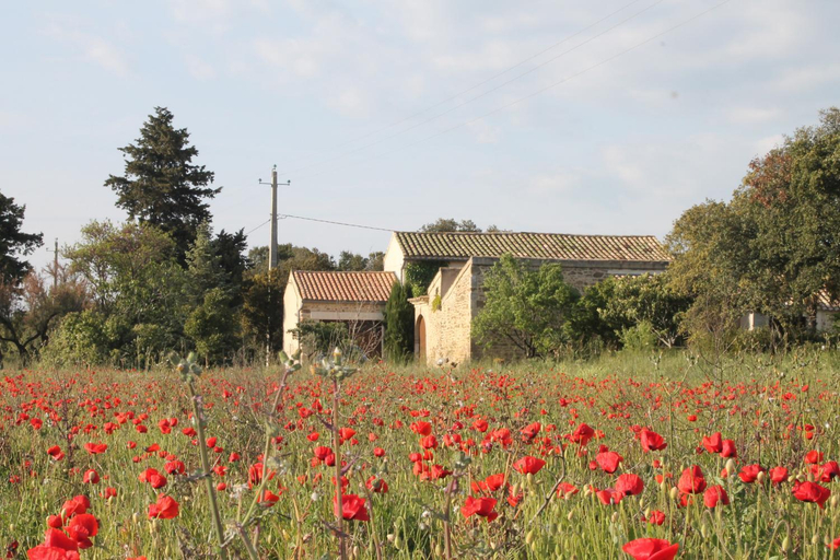 Others 5, Le Mas De La Seuve, Vaucluse