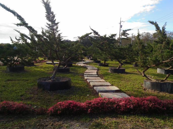 Others 2, Du Du Hao B&B, Taitung