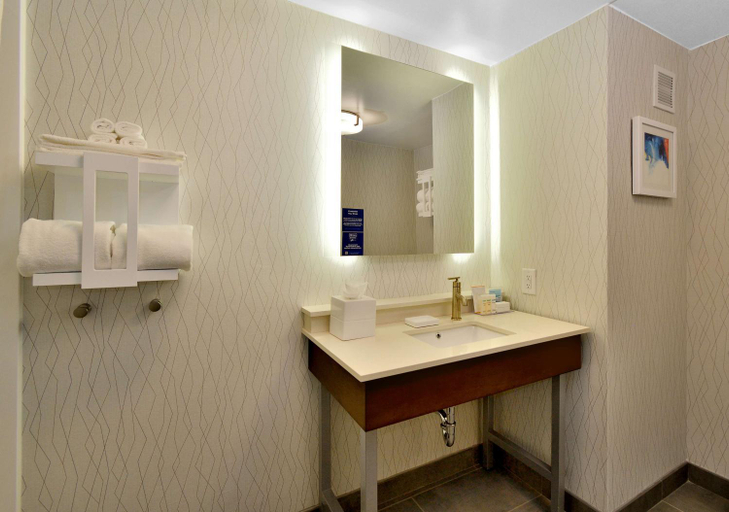 Bathroom 3, Hampton Inn Santee, Orangeburg