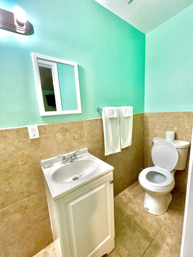 Bathroom 4, Your Motel, Washtenaw