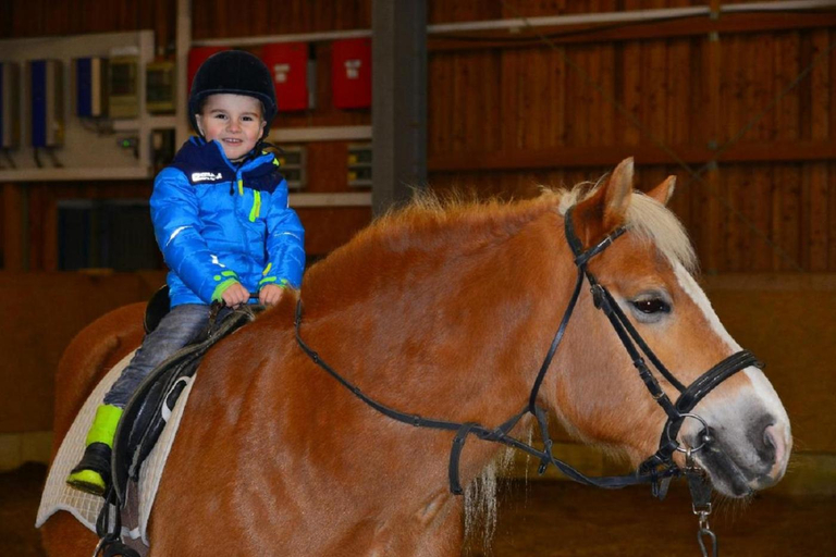 Horseback riding 4, Wenzlhof, Regen