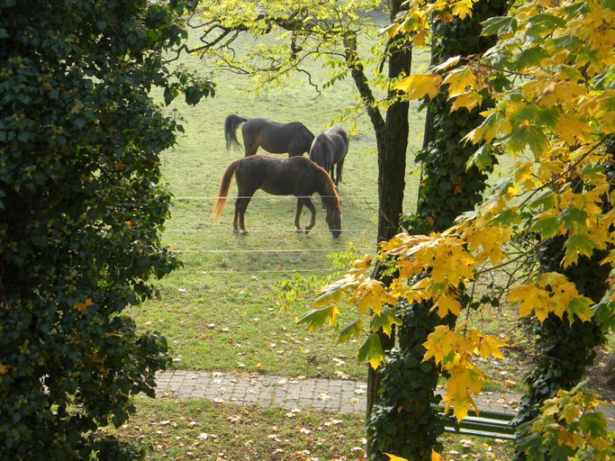 Others 5, Hotel Landgut Burg, Rems-Murr-Kreis