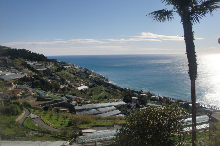 Villa Mont des Oliviers CITRA-8055LT-1805 e 1807, Imperia