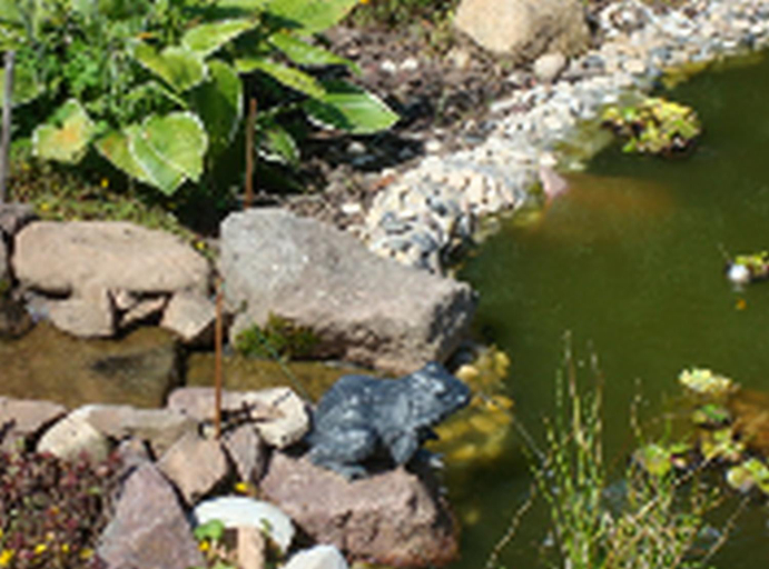 Others 5, Le Clos Pre, Vosges