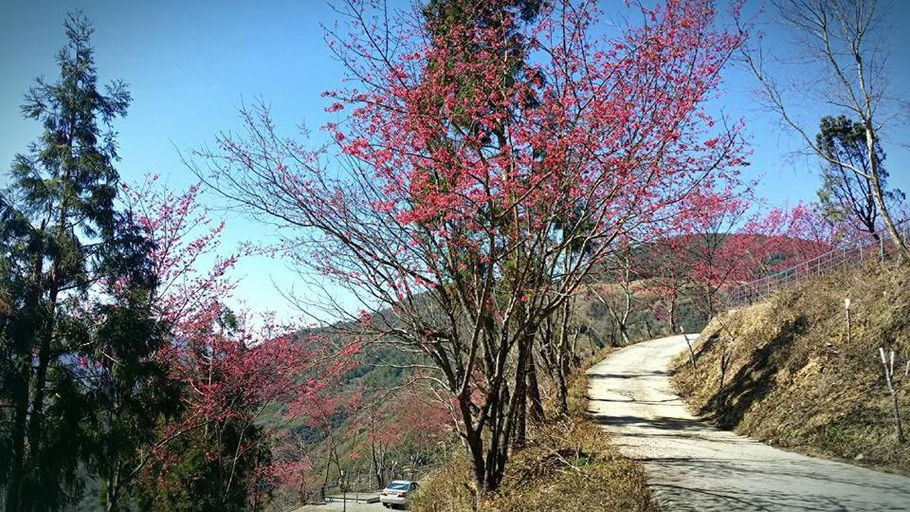 Others 4, The fairy land - Lala Mountain, Taoyuan