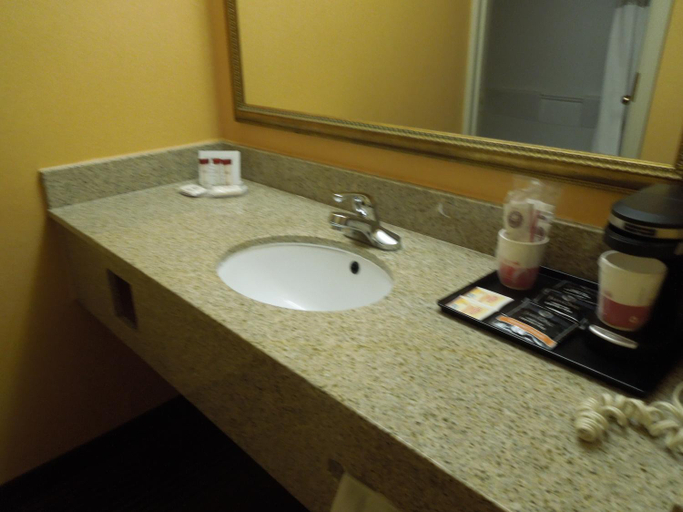 Bathroom 4, Ramada by Wyndham East Orange, Essex