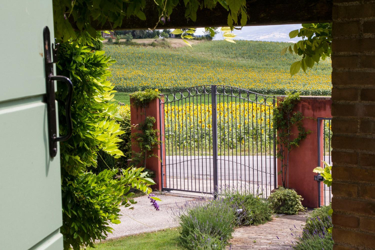 Others 3, Il Giardino delle Rose, Ancona