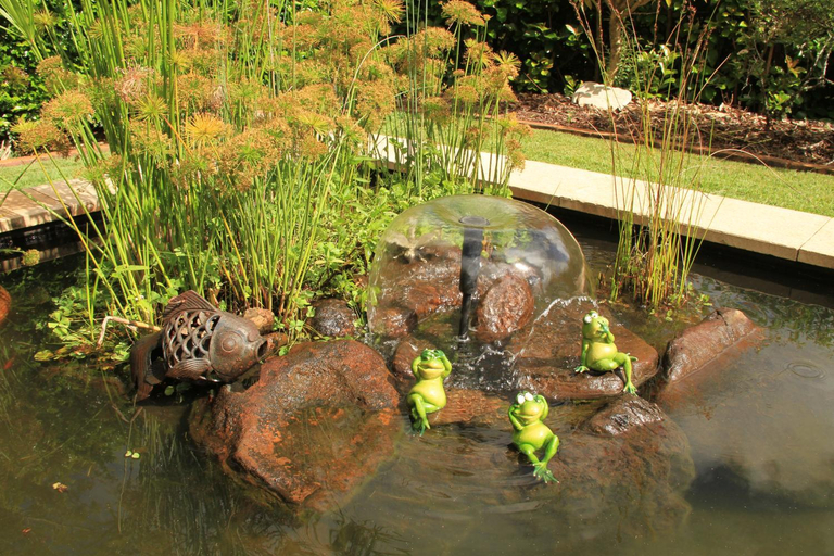 Others 4, "Seasons of Maleny B&B", Caloundra - Hinterland