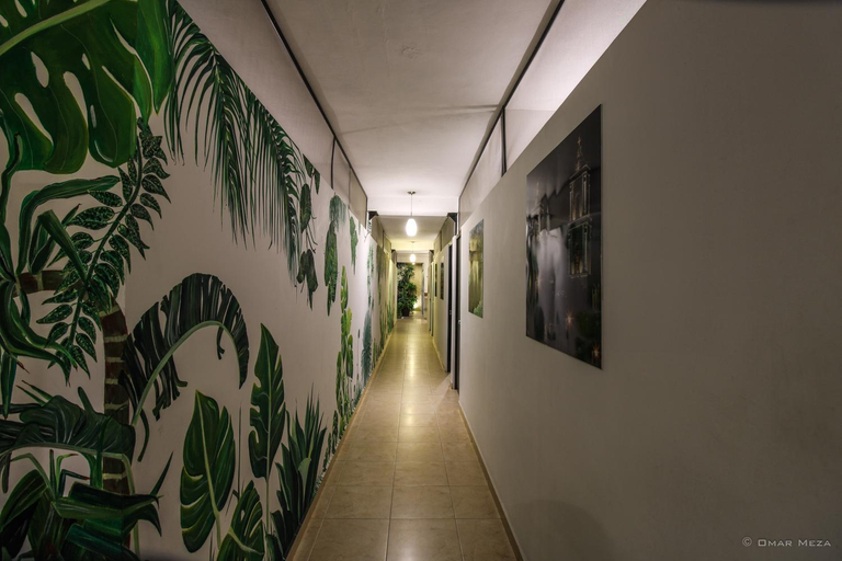 Others 5, Hostal Gayser, Valladolid