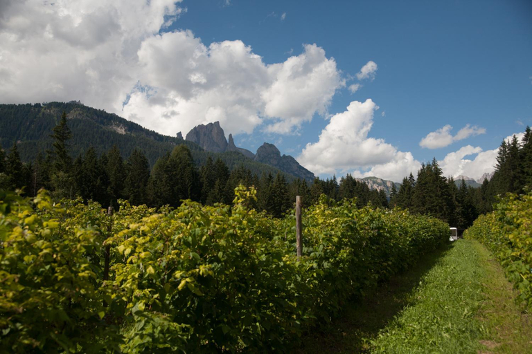 Others 4, B&B Agriturismo Soreie - Farmstay, Trento