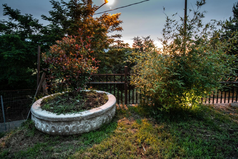 Garden 5, La Torre-1984, Potenza