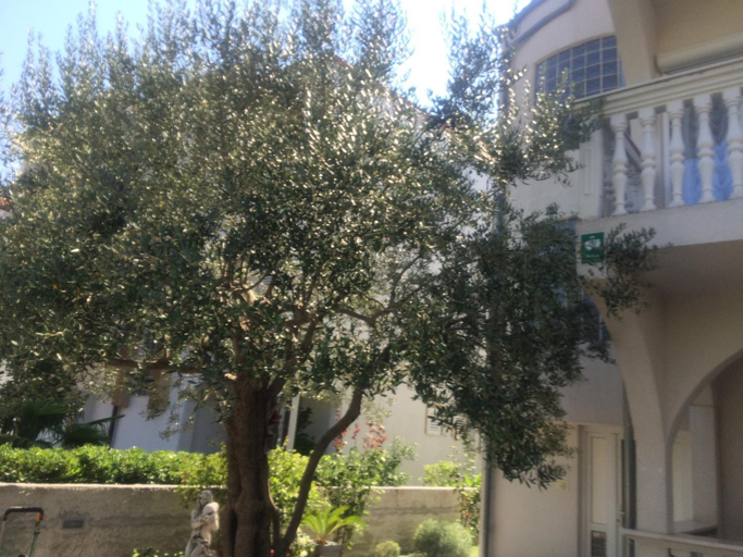 Others 4, Amelia Apartment, Vodice