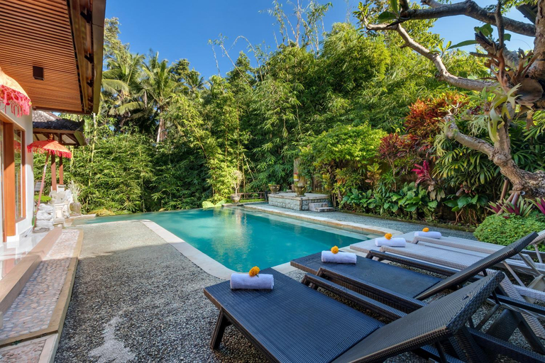 Swimming Pool 3