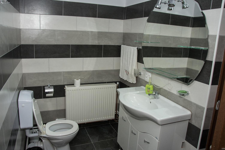 Bathroom, Casa Viorica si Luis, Pojorata