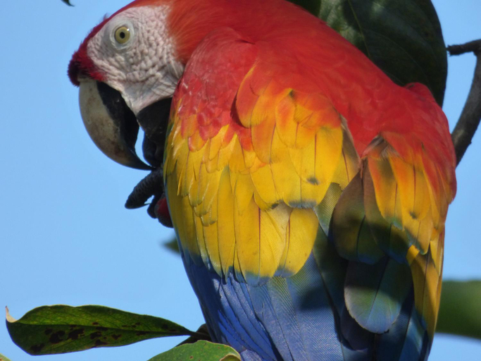 Others 5, Corcovado Beach Lodge, Golfito