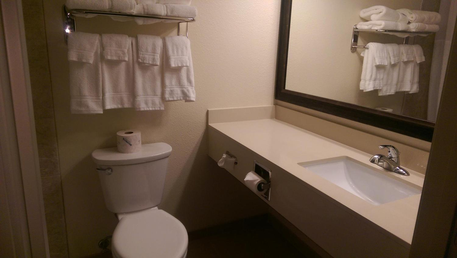 Bathroom 3, AmericInn by Wyndham Sleepy Eye, Brown