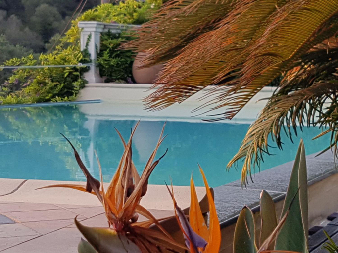 Swimming Pool 1