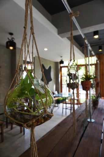 Food & Drinks 4, Hansa Bangkok House, Bang Plad