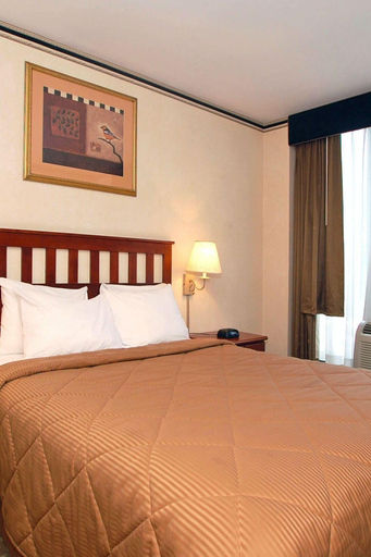 Bedroom 5, Crescent Hotel, New York