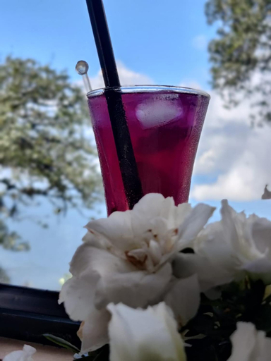 Food & Drinks 5, Arcadia Heritage Property, Darjiling