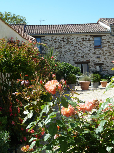 Others 4, Fleur de Vigne, Loire-Atlantique