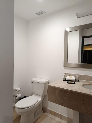 Bathroom 5, La Quinta By Wyndham Puebla Palmas Angelopolis, San Andrés Cholula