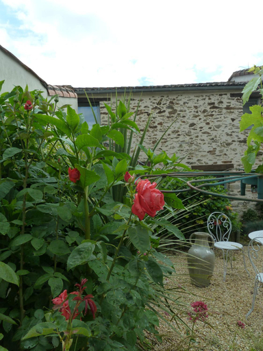 Others 2, Fleur de Vigne, Loire-Atlantique