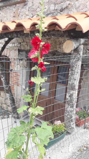 Others 2, Les TREMIERES, Aveyron