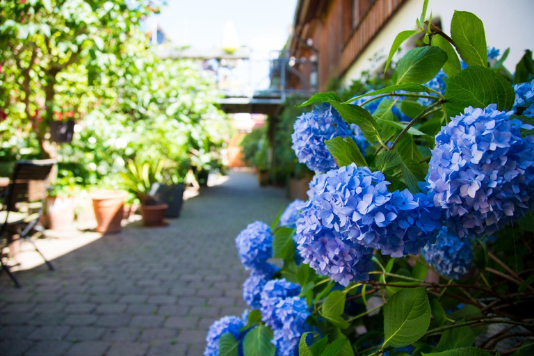 Others 5, Beate's Bed & Breakfast, Wetteraukreis