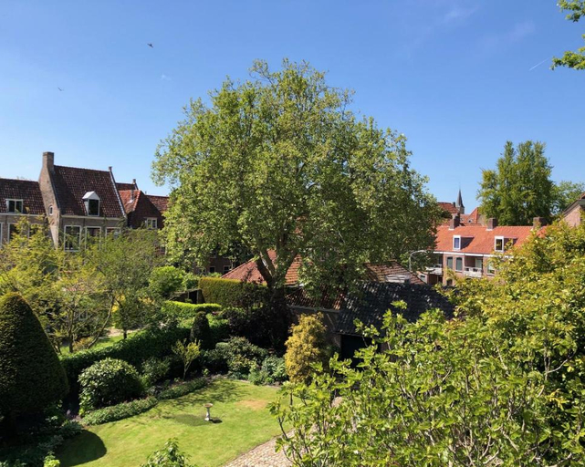 Others 5, B&B Montancourt-Middelburg, Middelburg