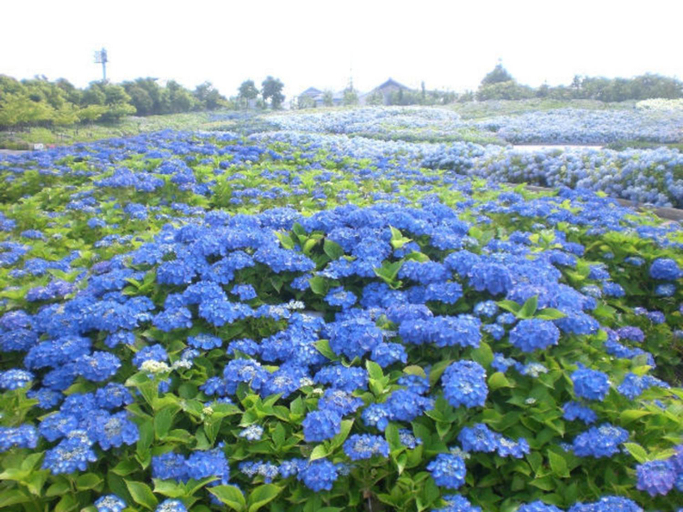 Others 5, Kuwana Park Hotel, Kuwana