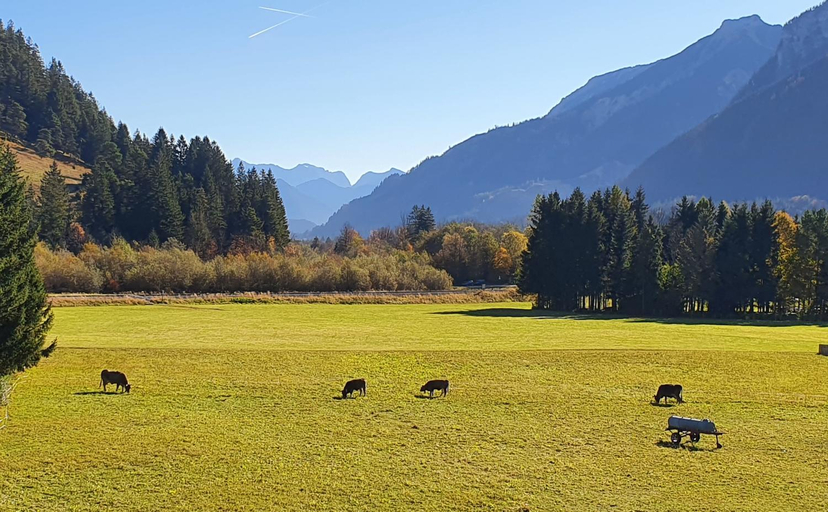 Others 5, Alpenlandhaus, Ostallgäu