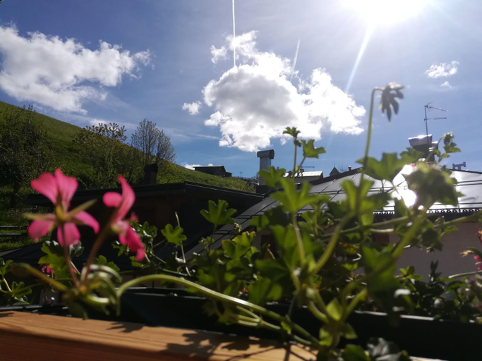 Others 3, B&B Cedavecia, Belluno
