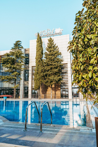 Food & Drinks 5, Arfa Park Hotel, Sochi gorsovet
