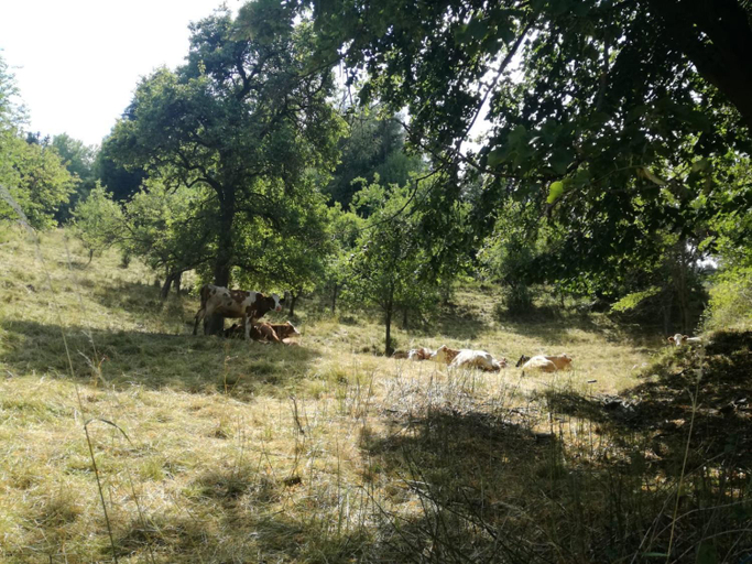 Others 4, Privatzimmer Wagner, Leoben