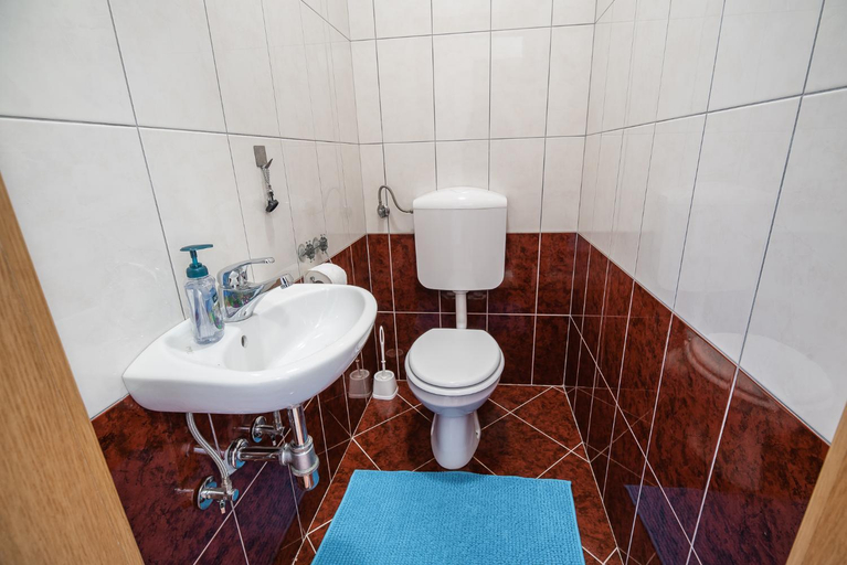 Bathroom 2, Apartment Zelimlje, Škofljica