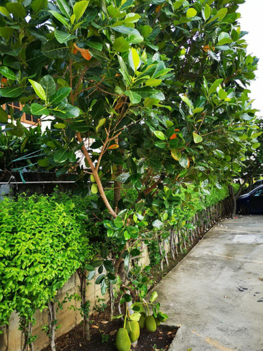 Others 1, Sab Suwarn Mansion, Muang Suphanburi