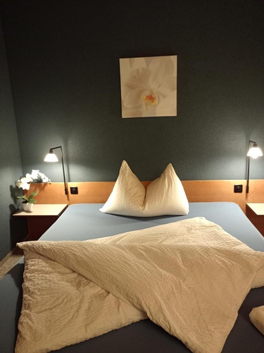 Bedroom 2, Hotel Restaurant Bad Gutenburg, Aarwangen
