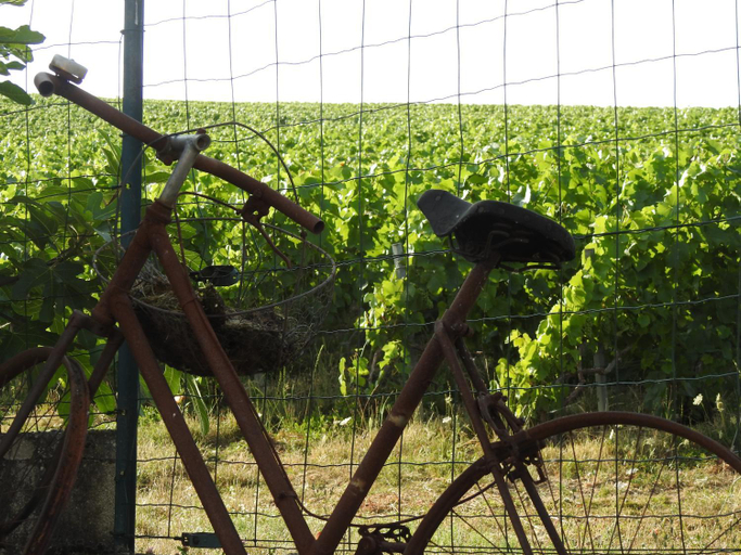 Others 2, Au Coeur Des Vignes, Marne